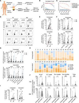 A ubiquitous bone marrow reservoir of preexisting SARS-CoV-2-reactive memory CD4+ T lymphocytes in unexposed individuals